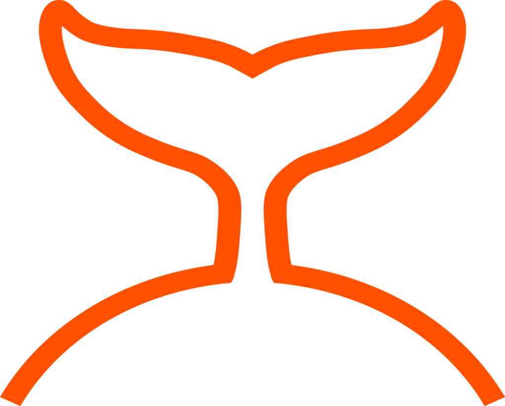 Logo Orange Whale